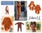 FabricLA Fleece Fabric by The Yard 1 Yard 36"X60" Inch Wide Polar Fleece Soft, Blanket, Anti-Pill Throw, Poncho, Pillow Cover, PJ Pants, Booties, Eye Mask - Tiger Rust